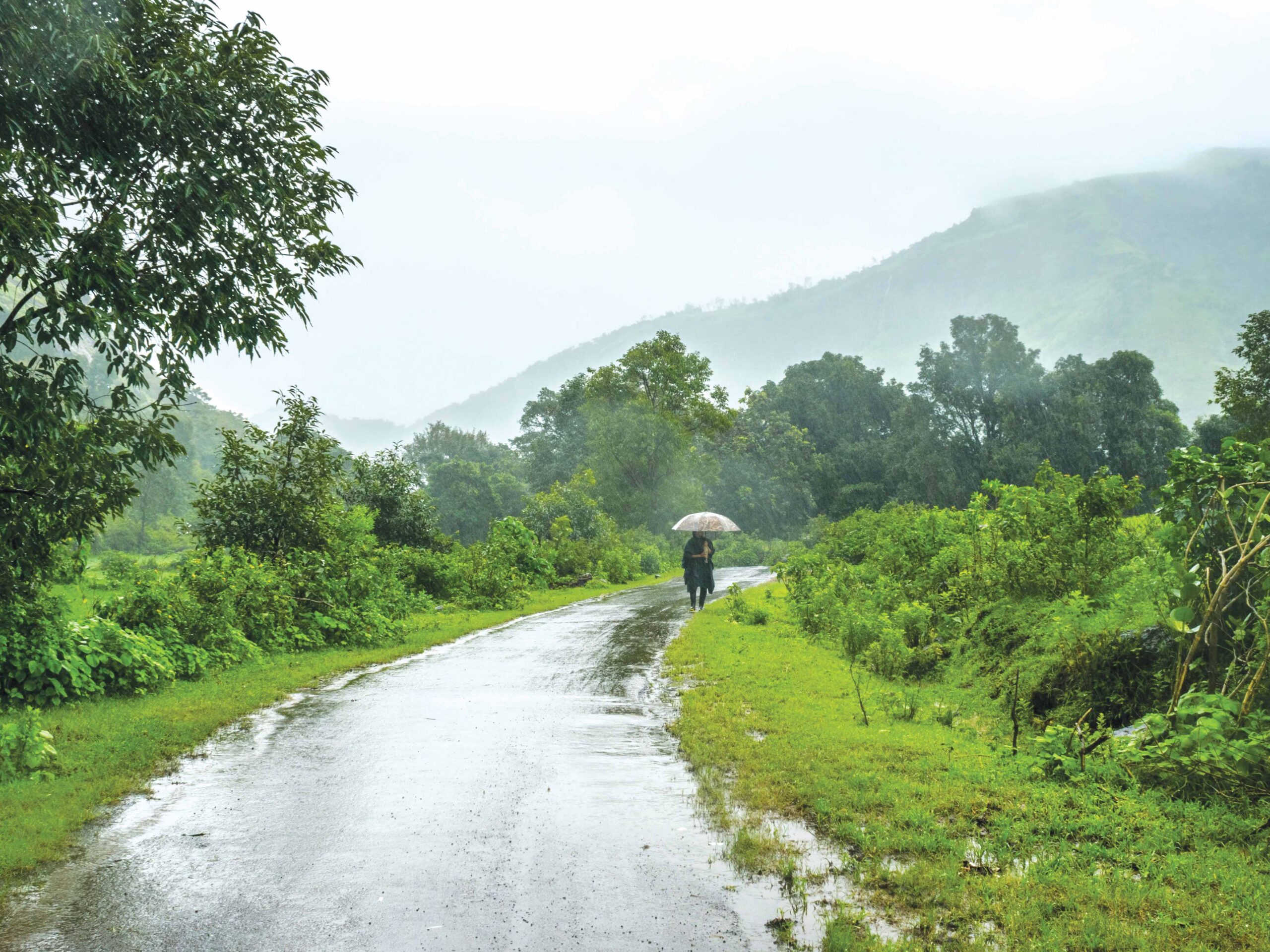 The Monsoon Rain - Jivan Magazine